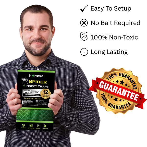 Spider + Insect Traps