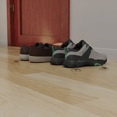 Spider + Insect Traps