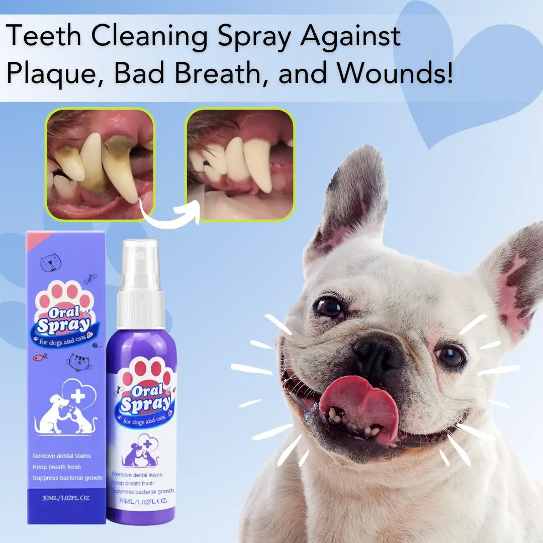 BarkBright Plaque Remover for Dogs