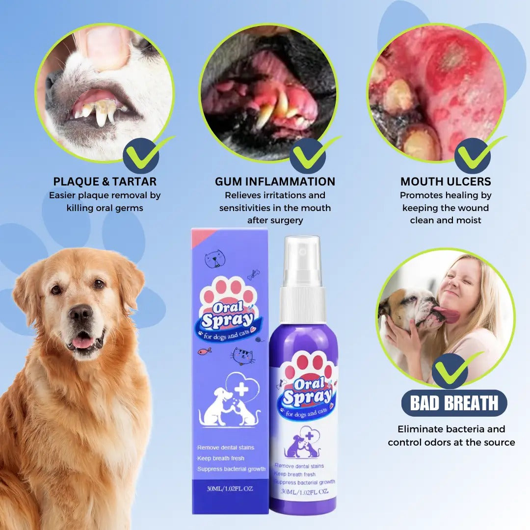 BarkBright Plaque Remover for Dogs