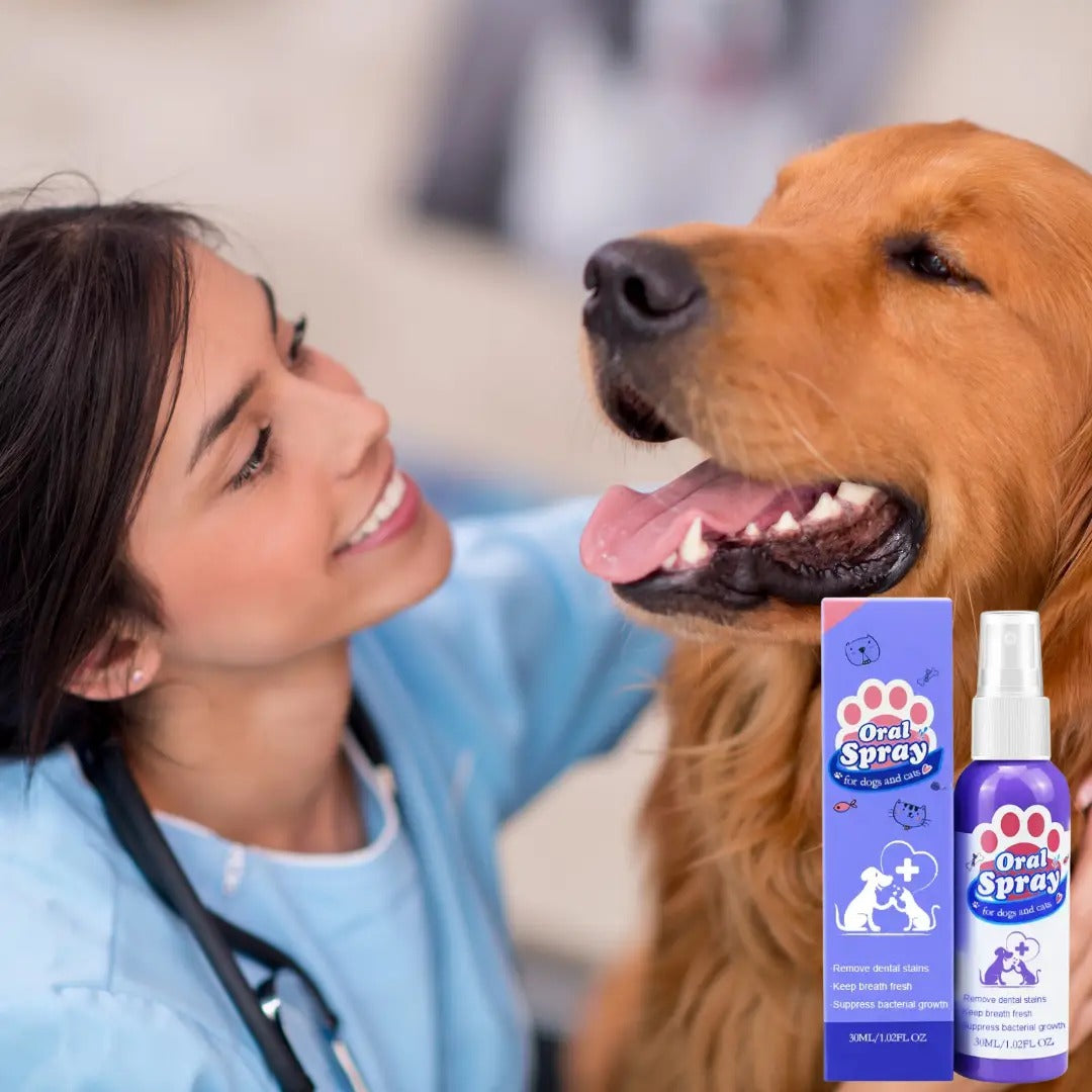 BarkBright Plaque Remover for Dogs