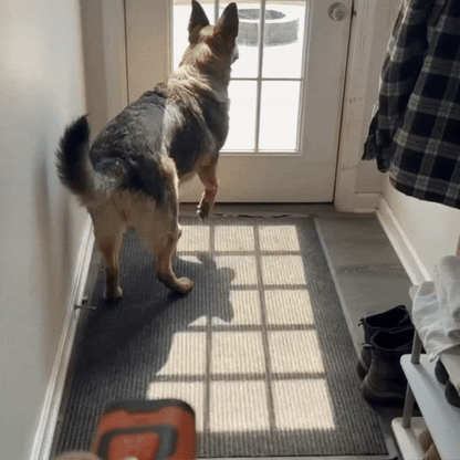 BarkHusher Portable Dog Training Device