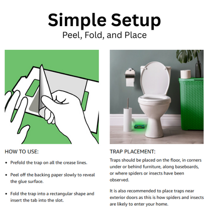 Spider + Insect Traps