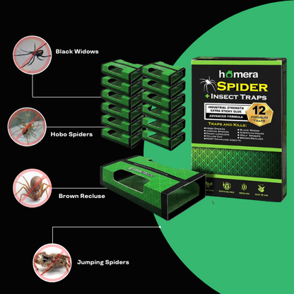 Spider + Insect Traps