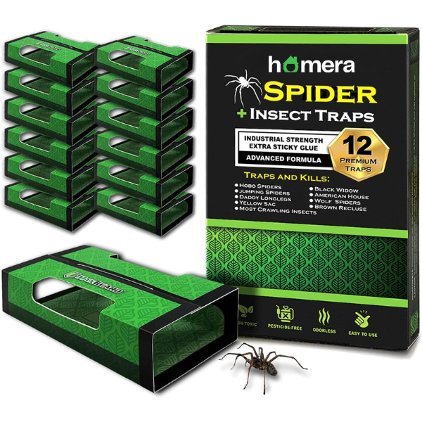 Spider + Insect Traps