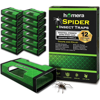 Spider + Insect Traps